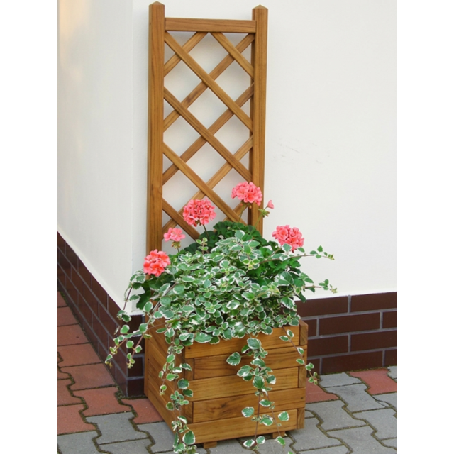 Blumenkasten mit Rankgitter