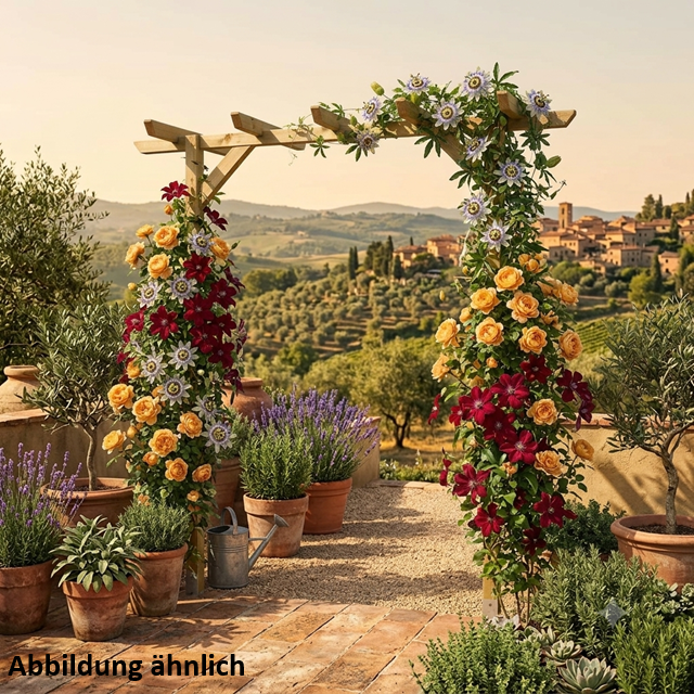Pergola 240x225x60cm kdi grün